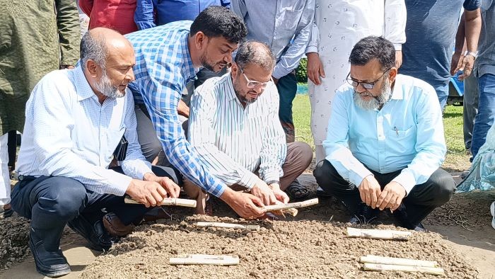 কৃষকের আখের মূল্য ৪৮ ঘন্টার মধ্যে পরিশোধ করা হবে